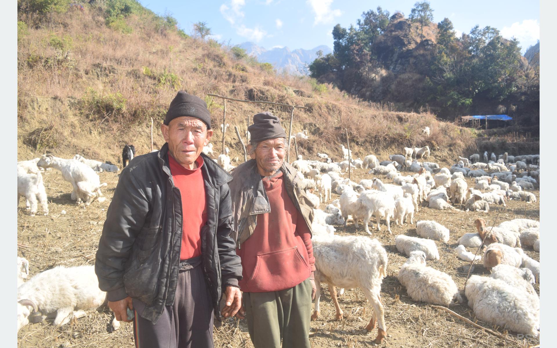 202401240814-0b374385-4799-4e48-9276-57e155b5150e_medium