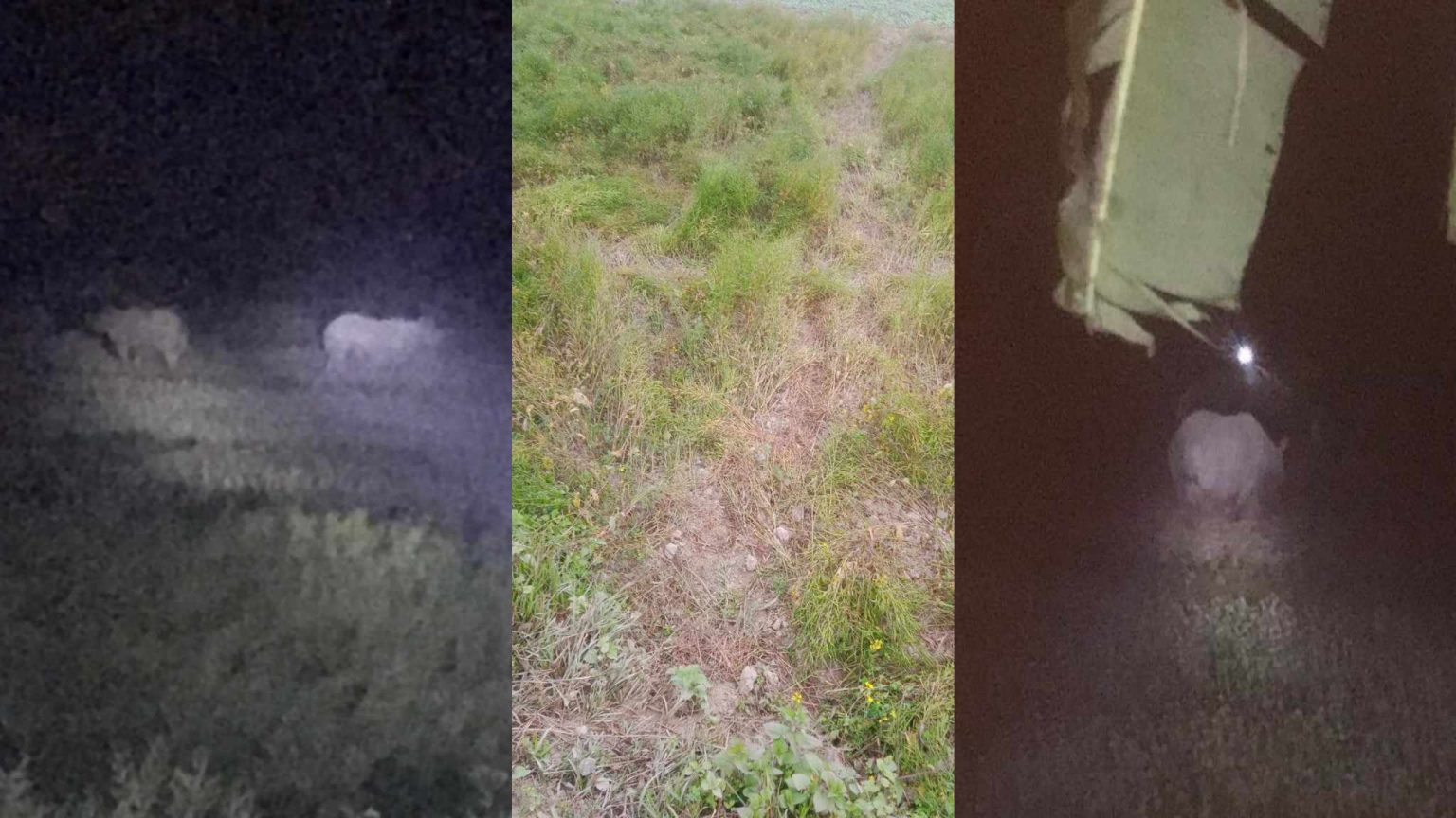 414520926_354457654199093_1457591586449553159_n-1536x864