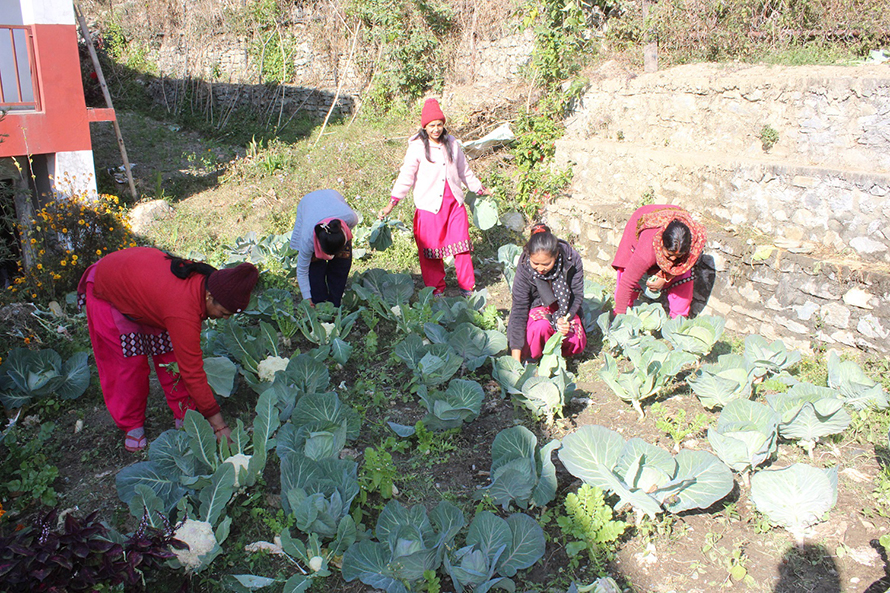 Balmandir-adharbhut-Tarkari-Kheti
