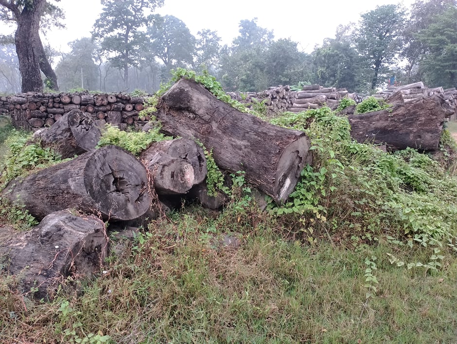 93535a54-b74f-4ba9-bb35-1f69c728c114