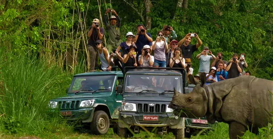 jeep-safari-in-chitwan-national-park_boe4H4Gw2U