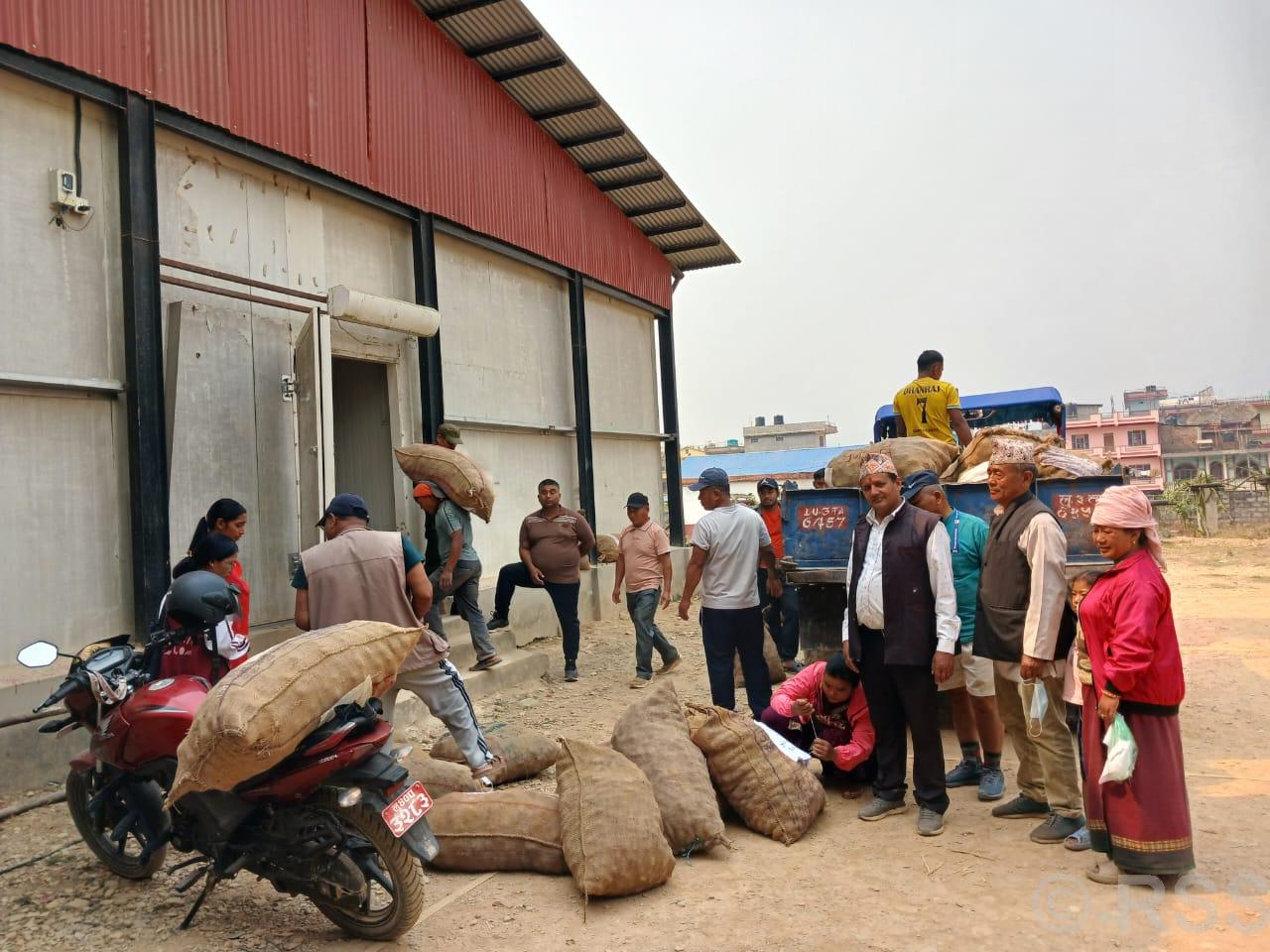 202504010841-2b862e2d-f562-4d83-9688-ff2eb53fbf38_medium