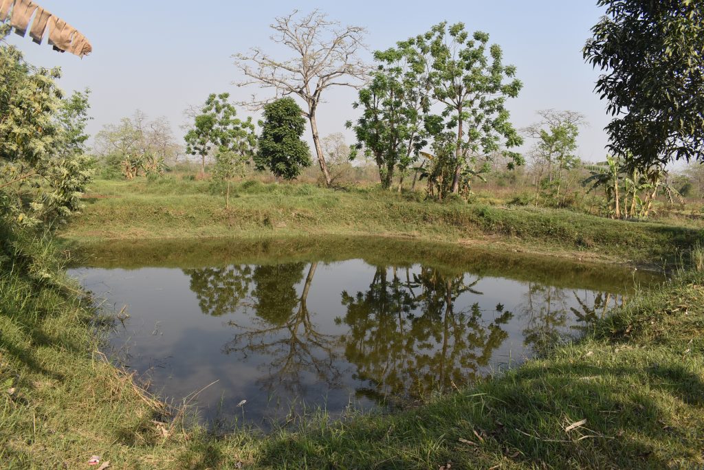 nawalparashi-machha-palan-1024x684