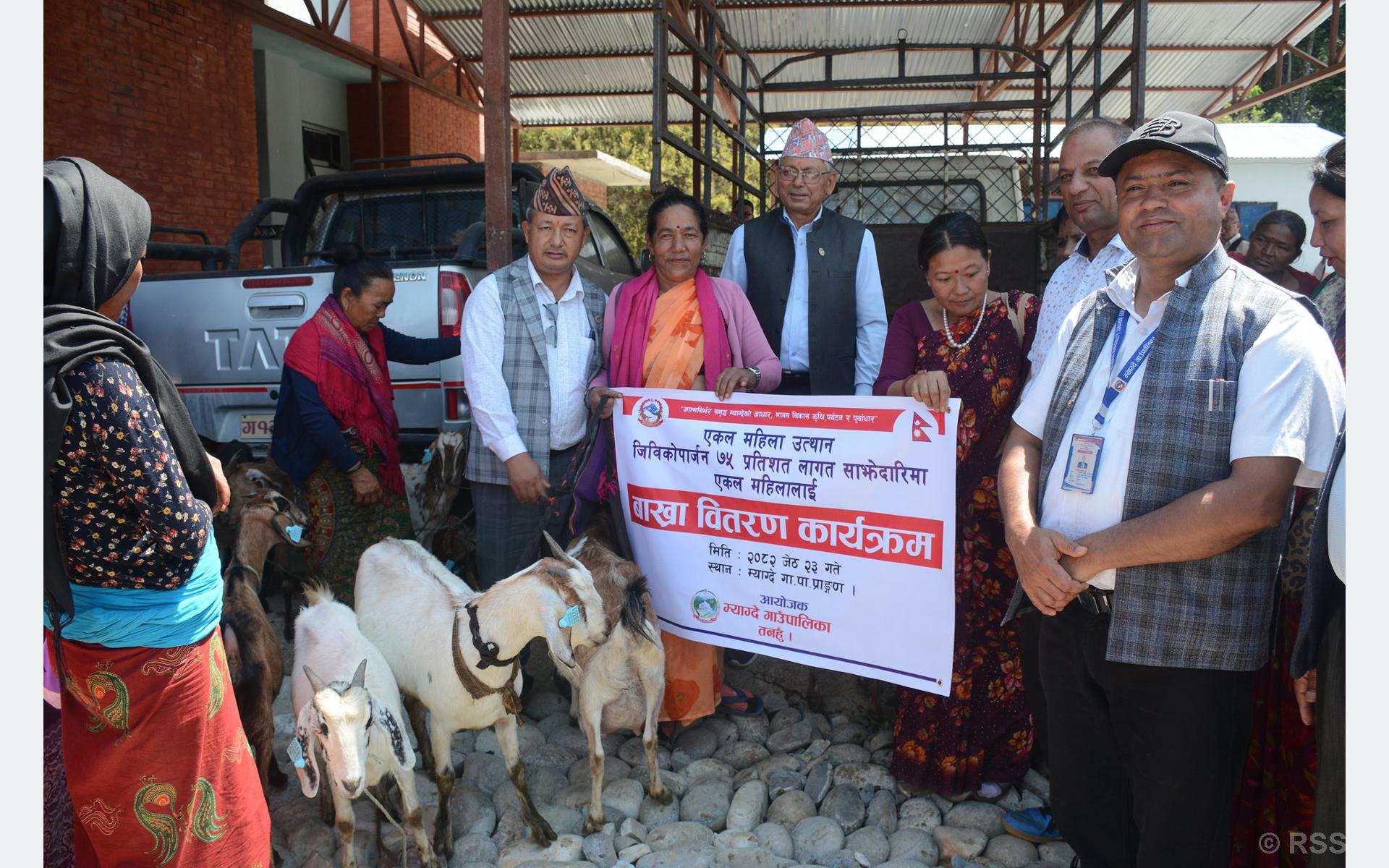 202506070855-458d9933-cd79-45d0-809c-e472225b44ea_medium