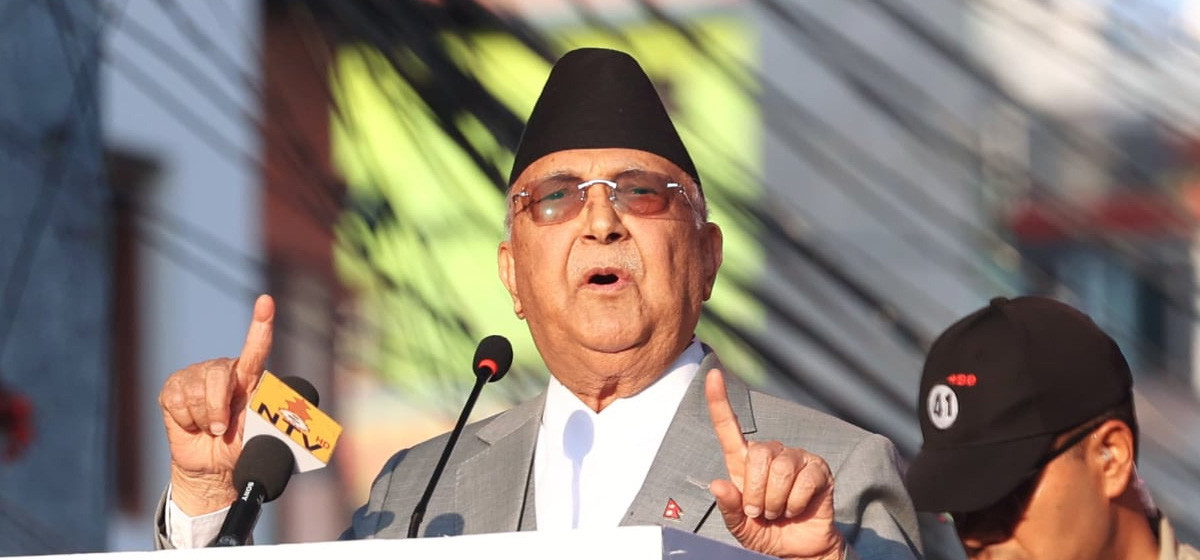 kp-oli