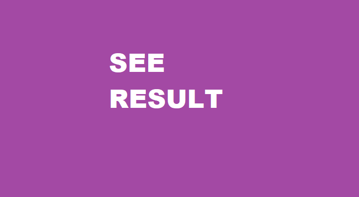 एसईईको नतिजा प्रकाशित (यसरी हेर्न सकिन्छ रिजल्ट)
