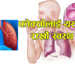 फोक्सो स्वस्थ राख्न के खाने?