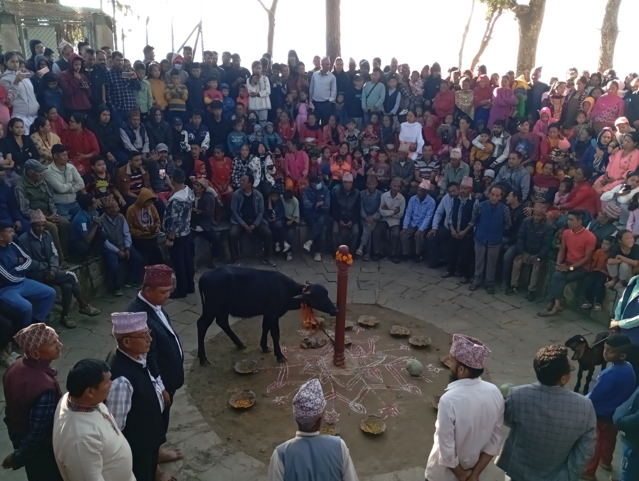राज्य एकिकरण ताकाका कोटमा निरन्तर मौलो पुजा