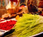 आज विजयादशमी, नवदुर्गाको प्रसाद टीका र जमरा लगाइँदै