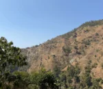 तीर्थ लामा सांसद भएपछि महाभारतका हरेक वडामा सडक