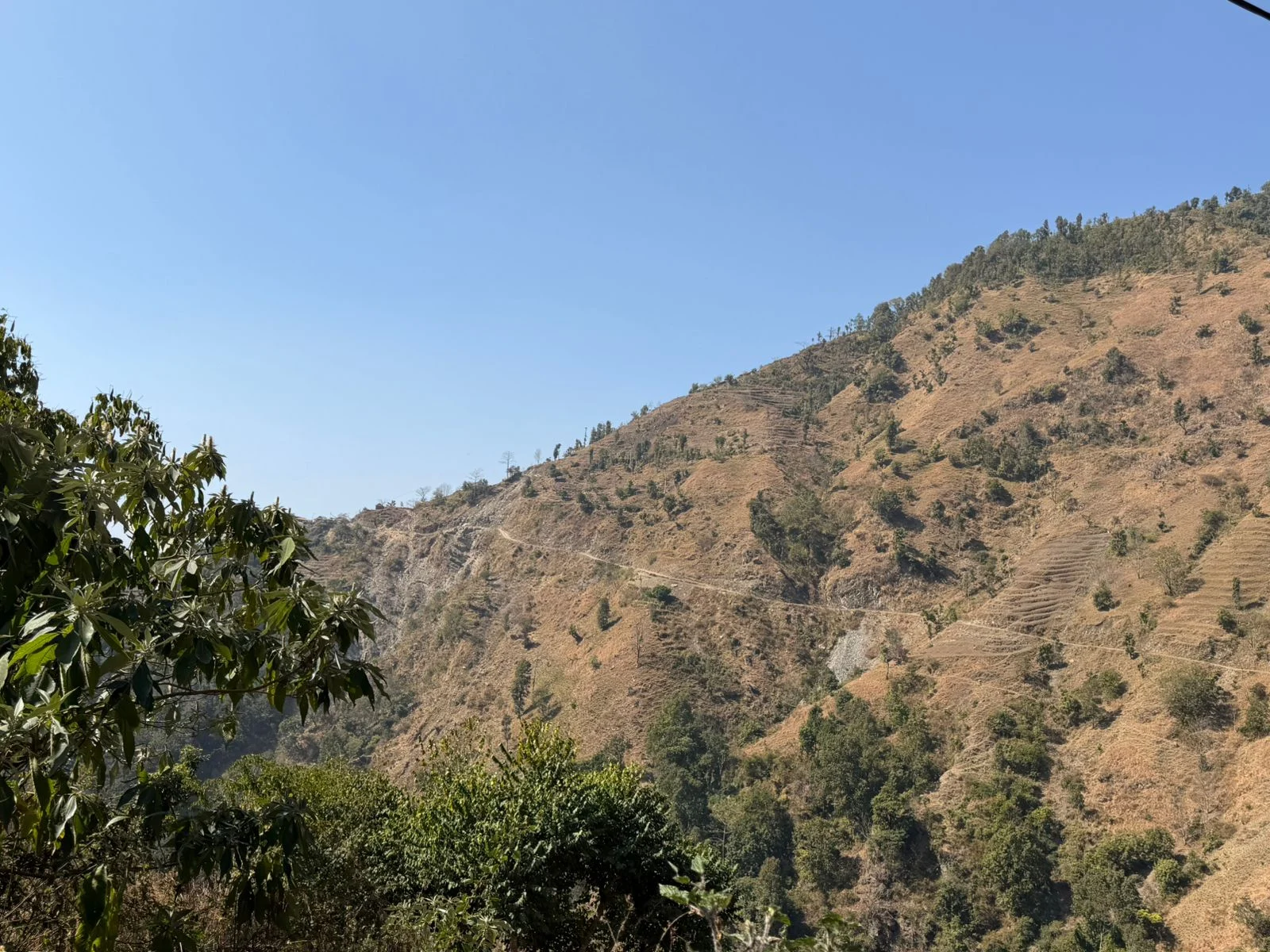 तीर्थ लामा सांसद भएपछि महाभारतका हरेक वडामा सडक