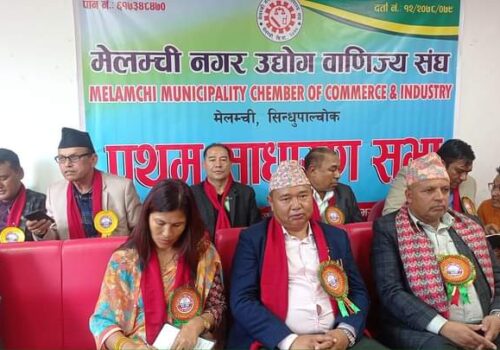 पुष्कर बने नगर अध्यक्ष