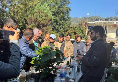 कफी संस्कृतिदेखि आधुनिक प्रशोधनसम्म: न्यू अरनिकोमा ज्ञानमूलक कार्यक्रम सम्पन्न