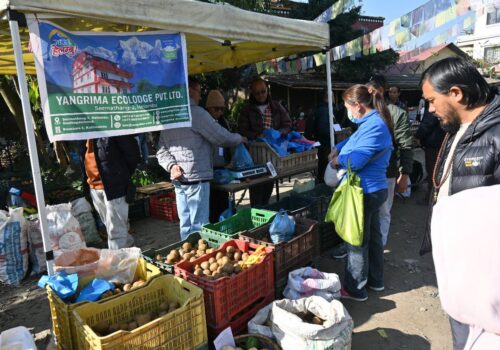 हेलम्बु अर्गानिक किवि फेस्टिबल सम्पन्न