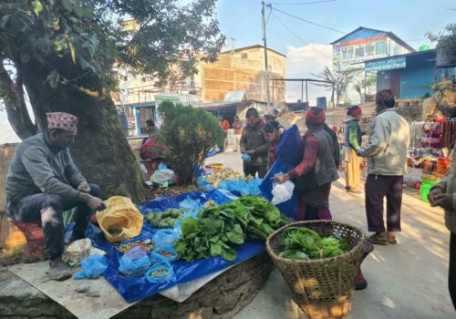 पाल्चोकमा आजबाट हाट बजार सुरु