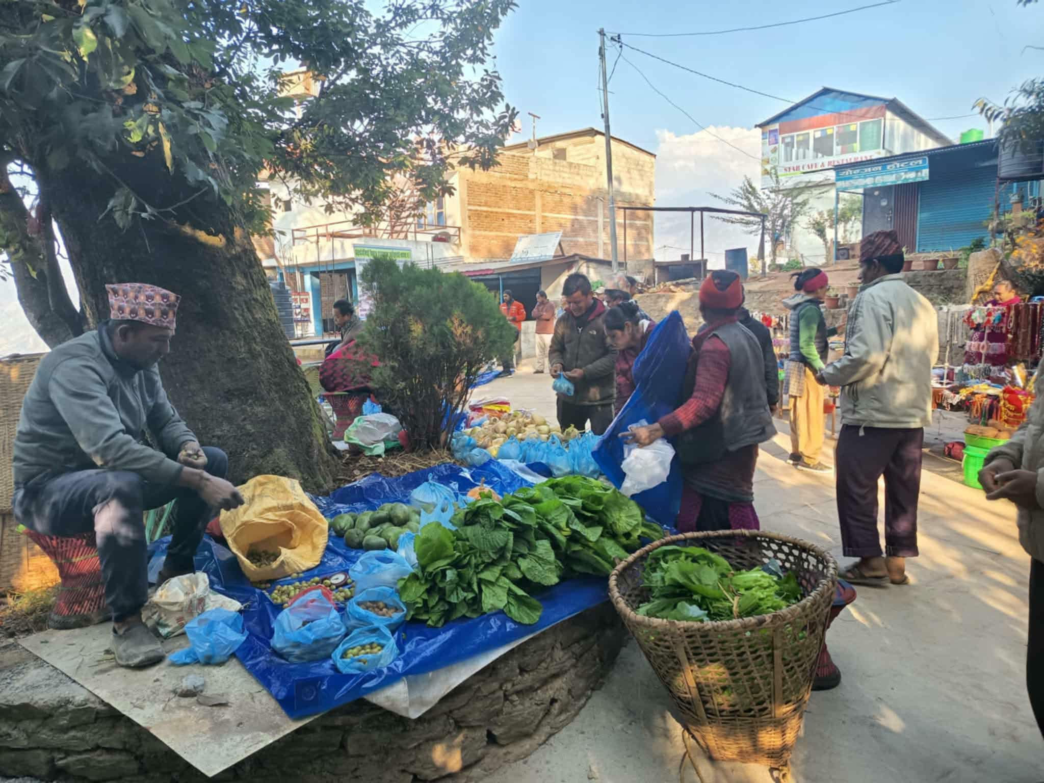 पाल्चोकमा आजबाट हाट बजार सुरु