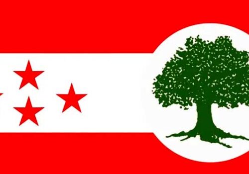 कांग्रेसमा गठबन्धन बहसः गण्डकी र कर्णाली प्रदेश प्रमुख विपक्षमा