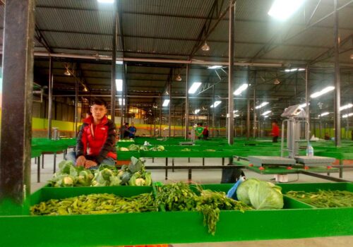 २ अर्बको तरकारी बजारको आज उद्घाटन गर्दै ओली