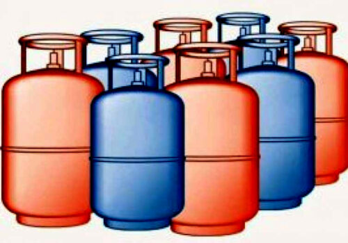 खाना पकाउने ग्यासको अभाव देखिएपछि अनुगमन गर्दै विभाग