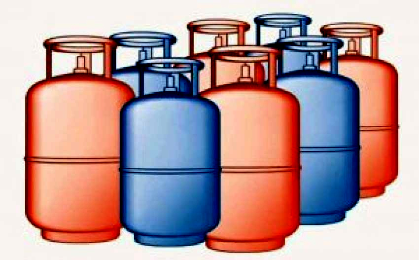 खाना पकाउने ग्यासको अभाव देखिएपछि अनुगमन गर्दै विभाग