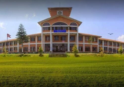 त्रिभुवन विश्वविद्यालयको पठनपाठन छठपर्वपछि मात्रै सुरु हुने