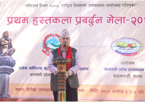 हस्तकला विधेयक तयार भइसक्यो : मुख्यमन्त्री जम्कट्टेल