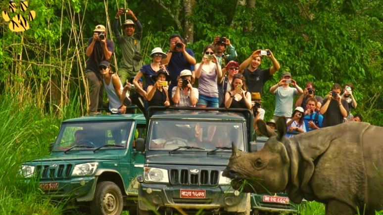 चितवन राष्ट्रिय निकुञ्जमा आजदेखि जीप सफारी खुला