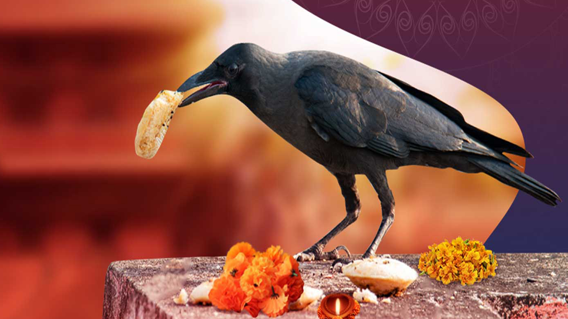 कार्तिक कृष्ण त्रयोदशीः आज काग तिहार मनाइँदै