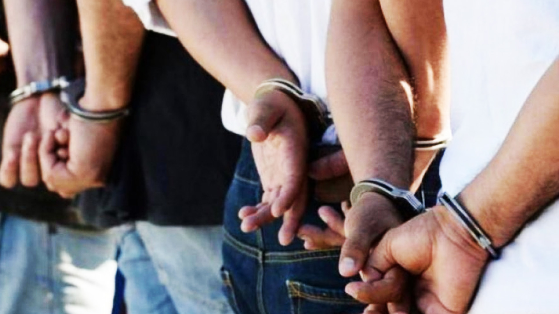 झुट्ठो विवरण पेस गरी नागरिकता बनाएको अभियोगमा धादिङका दुईसहित चार जना पक्राउ