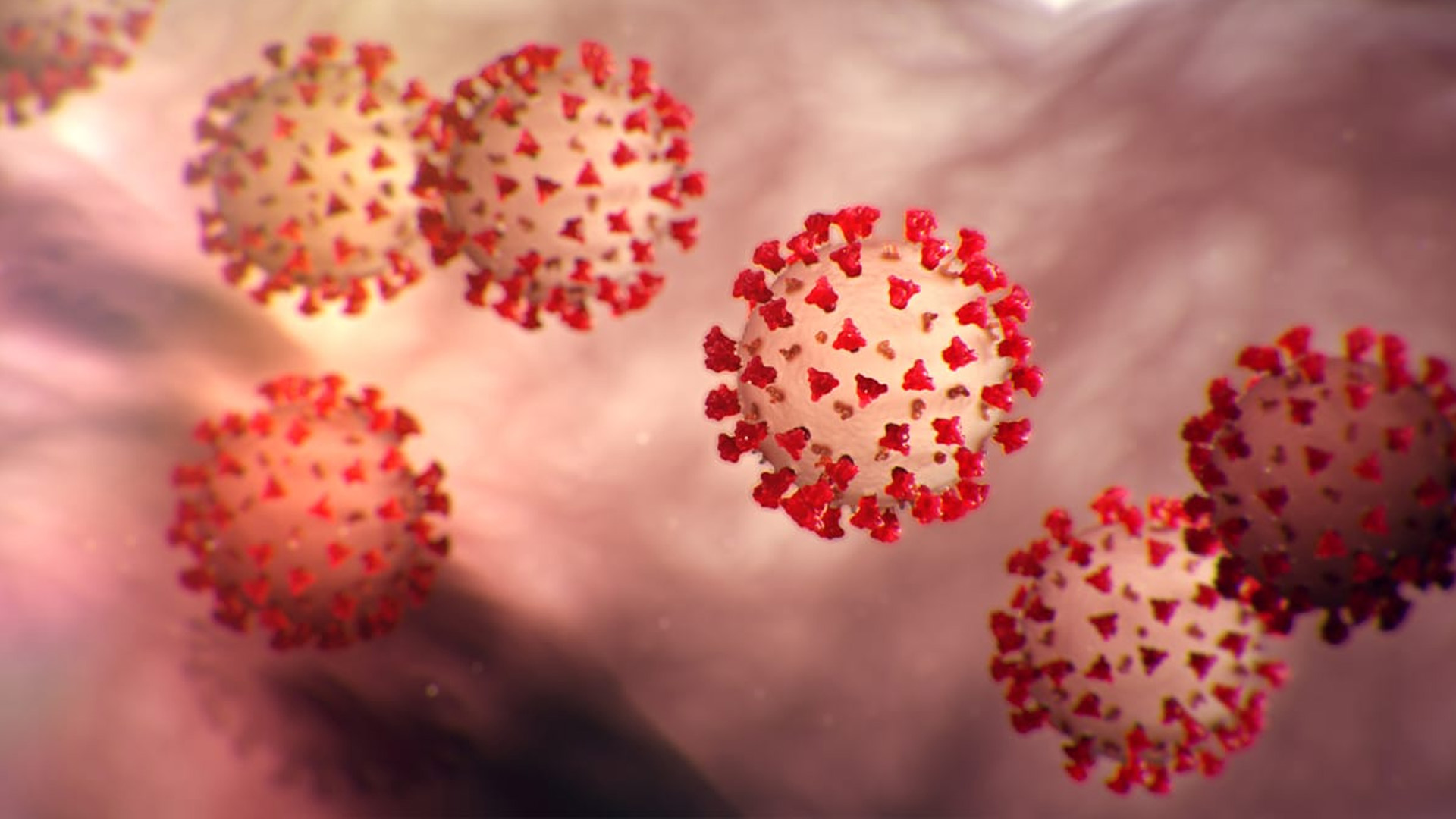 नेपालमा कोरोना भाइरसको नयाँ सव भेरियन्ट पुष्टि