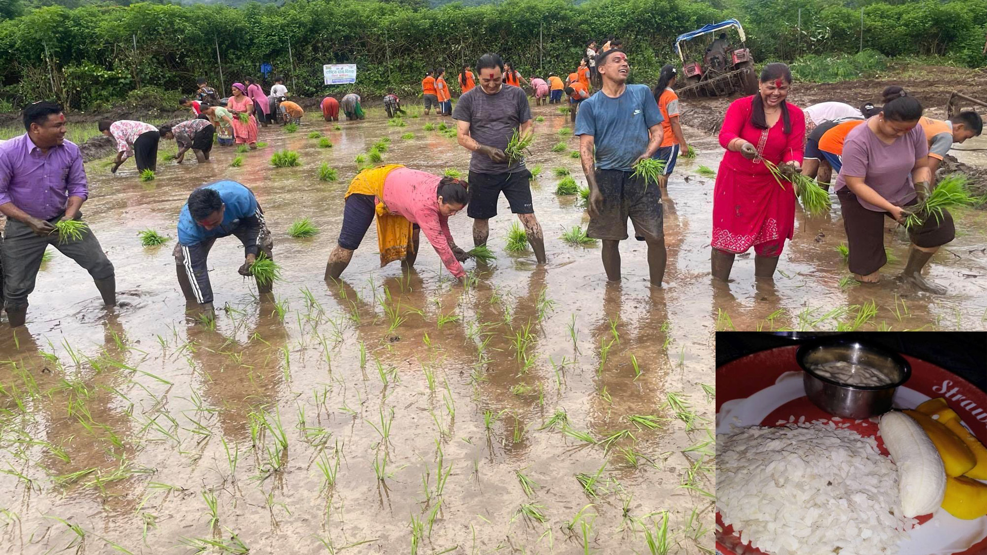 आज असार १५  : धान दिवस, दही चिउराको सांस्कृतिक पर्व मनाइँदै