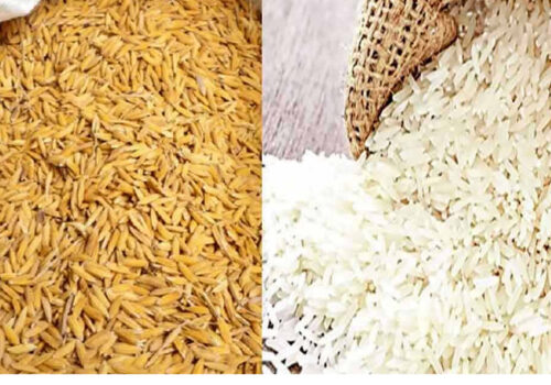 भारतले धान, चामल निर्यातमा कर लगाउँदा, आयात घट्यो