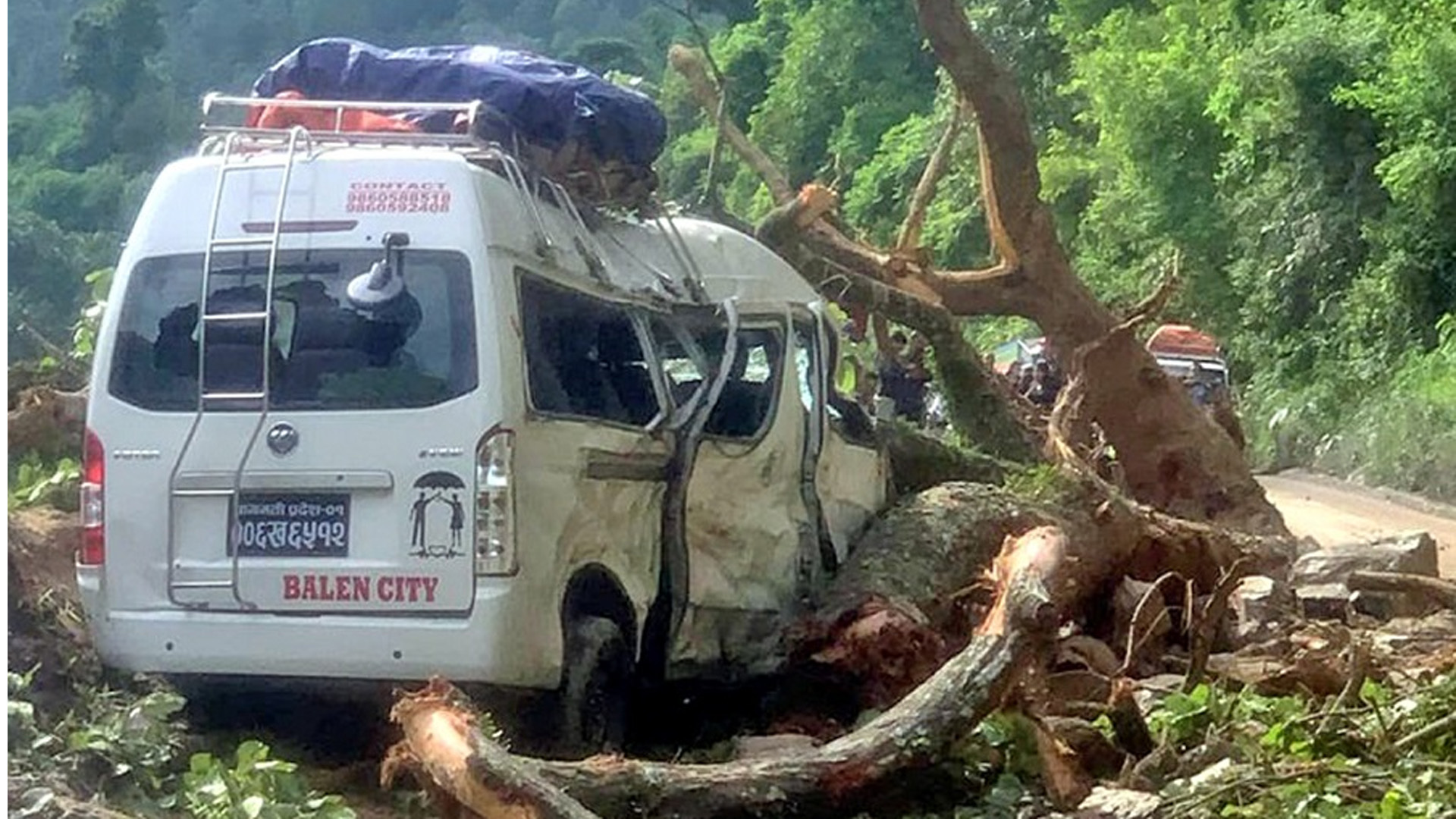 गुडिरहेको माइक्रो बसमाथि रुख ढल्दा घाईते भएका एक जनाको मृत्यु