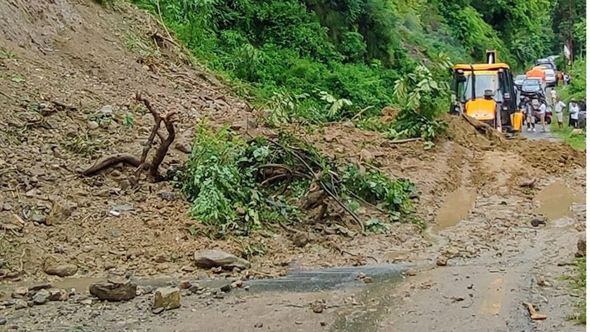 बाढी पहिरोमा परी एक सय जनाको मृत्यु, ६७ बेपत्ता