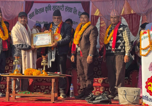 पत्रकार महासंघ  धादिङका अध्यक्ष अधिकारी  सम्मानित