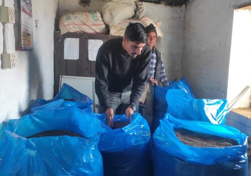 बाँझो बारी जोतेर कोदो उत्पादन