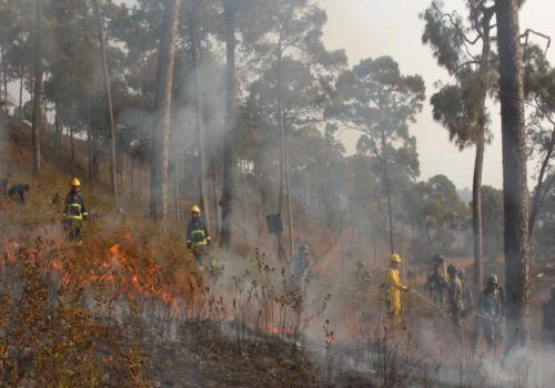 सल्लाघारी बनमा बन डढेलो तथा आगलागी नियन्त्रण सम्बन्धी कृत्रिम घटना अभ्यास