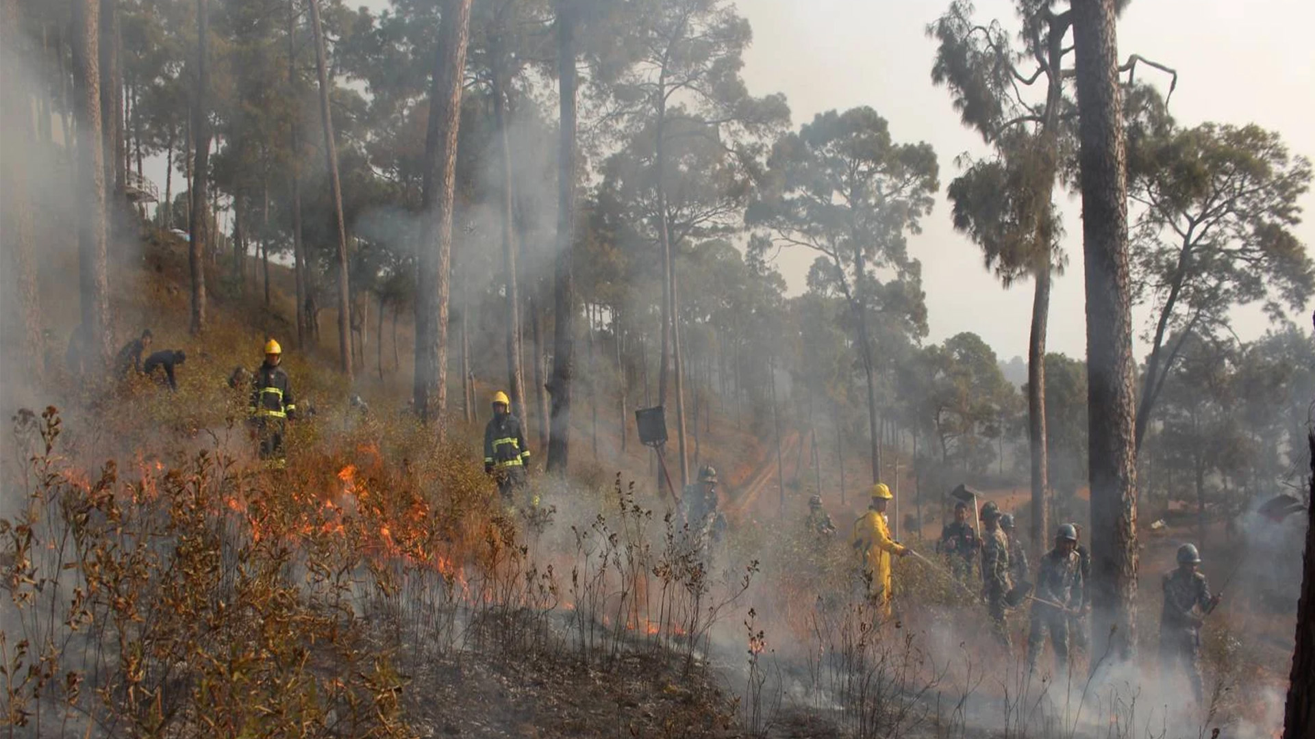 सल्लाघारी बनमा बन डढेलो तथा आगलागी नियन्त्रण सम्बन्धी कृत्रिम घटना अभ्यास
