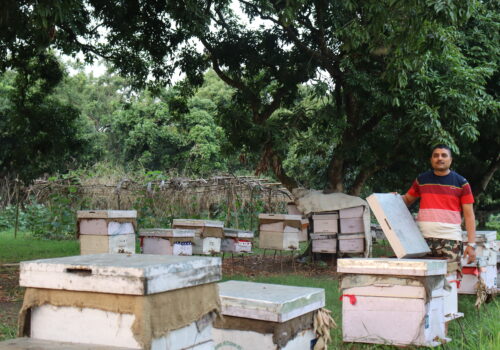 मौरीपालेर वार्षिक आठ लाख बढी आम्दानी