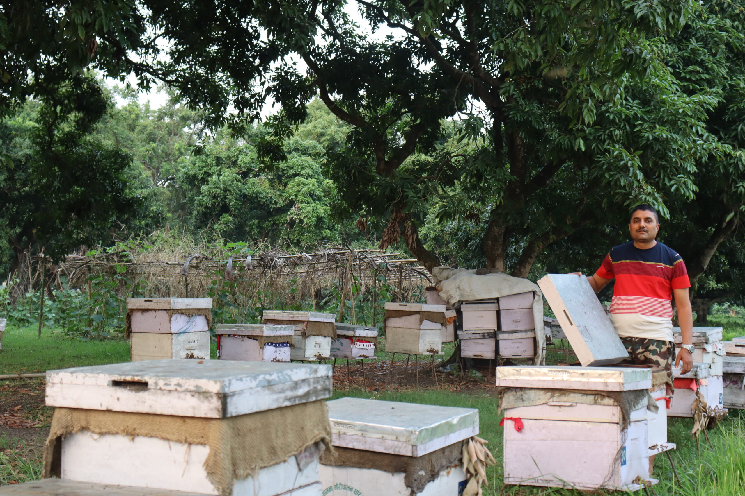 मौरीपालेर वार्षिक आठ लाख बढी आम्दानी