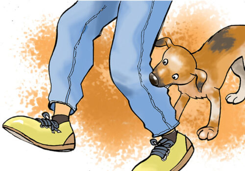 रेबिज लागेर एक जनाको मृत्यु