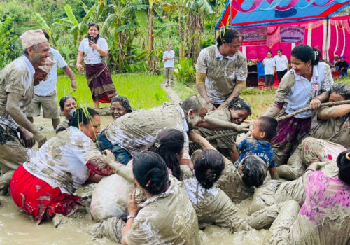 धान दिवस : किसानको पिडामा पर्वको भड्किलोपन ?