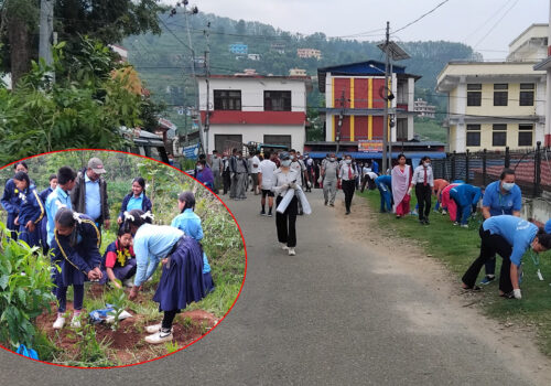 विश्व वातावरण दिवसमा सरसफाइ तथा वृक्षारोपण