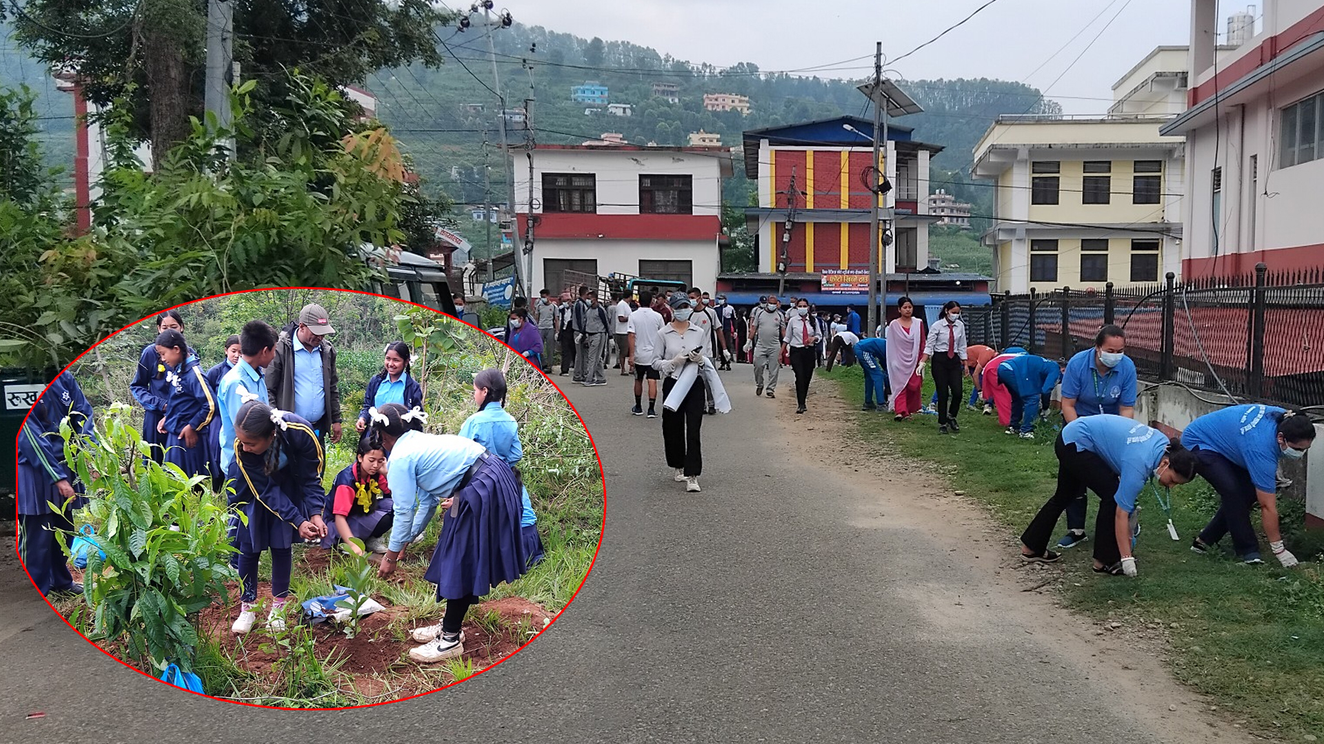 विश्व वातावरण दिवसमा सरसफाइ तथा वृक्षारोपण