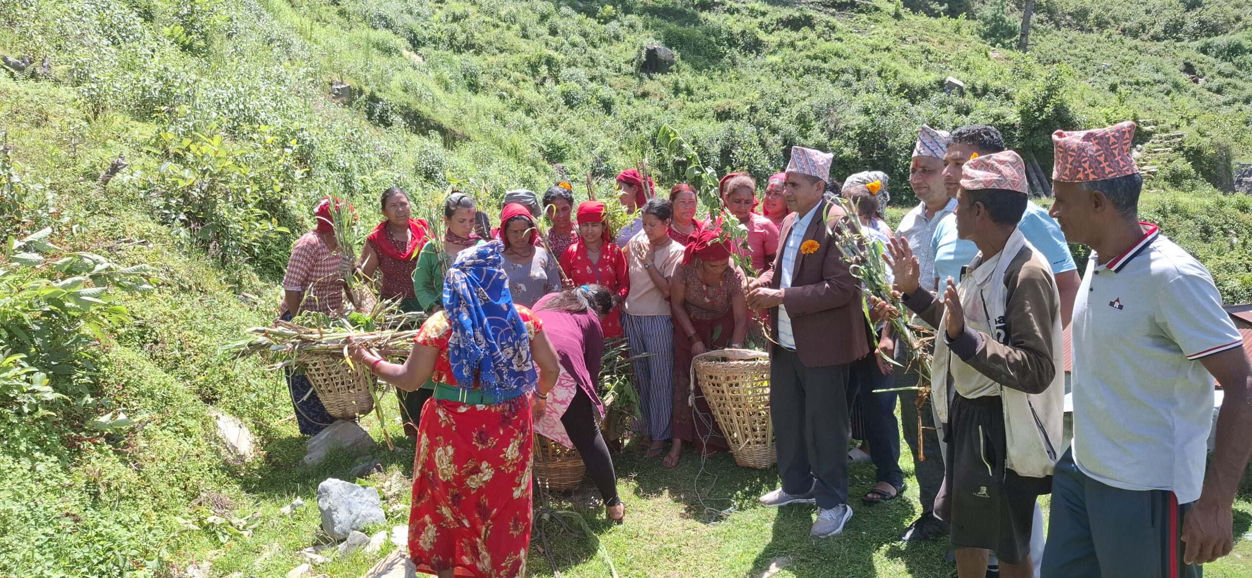 झाडी फाँडेर घाँस खेती, घरघरमा बाख्रापालन