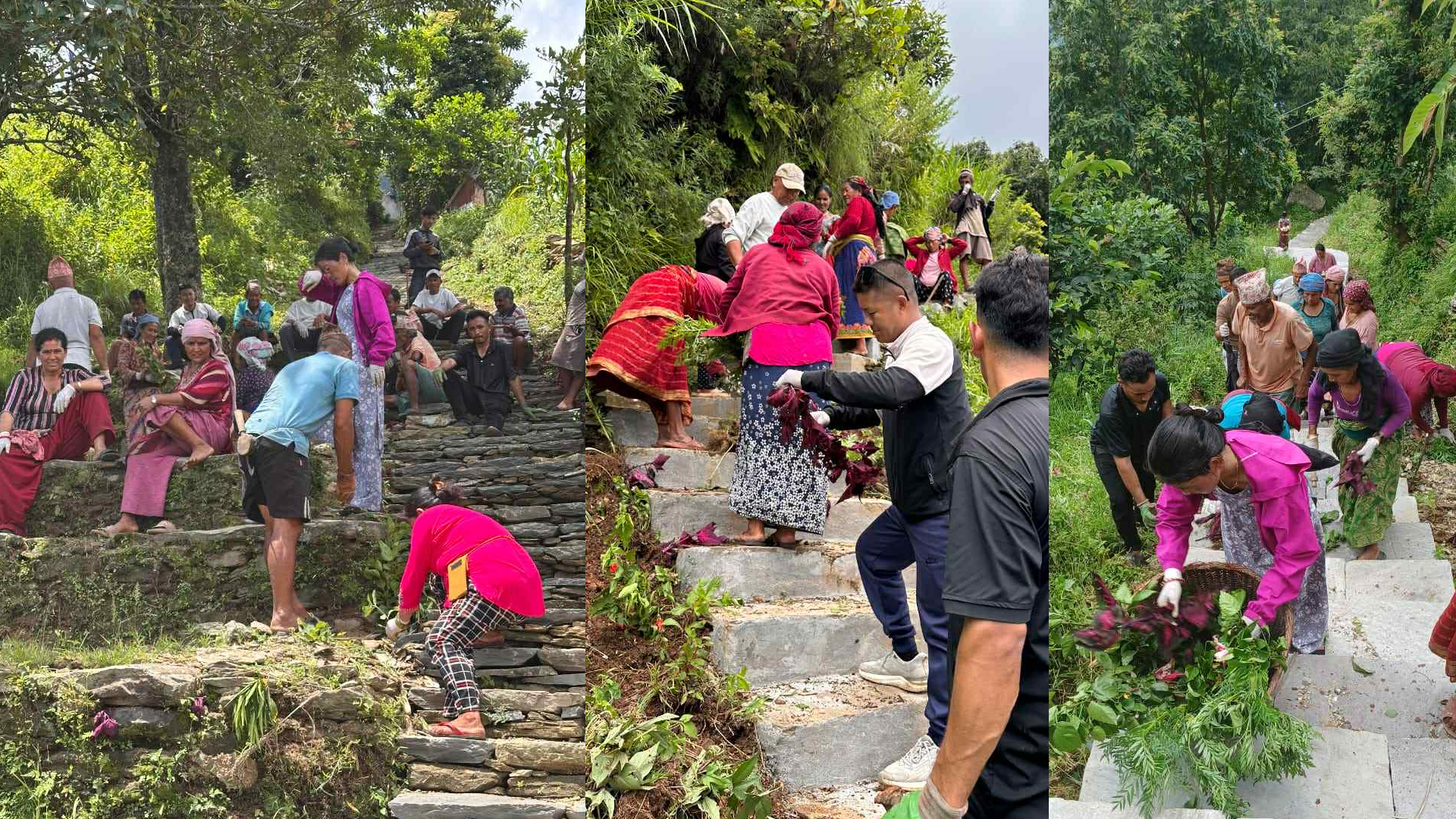 गंगाजमुना–३ मा सरसफाइ तथा फुल रोप्ने कार्यक्रम