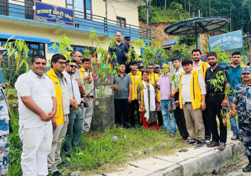 लायन्स क्लब अफ धादिङ हाईट द्वारा आदमघाट बजारक्षेत्रका सडक छेउमा बृक्षारोपण