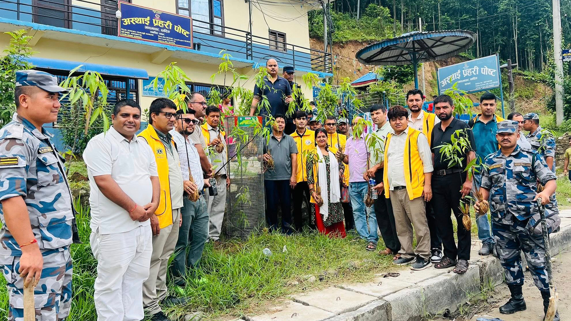 लायन्स क्लब अफ धादिङ हाईट द्वारा आदमघाट बजारक्षेत्रका सडक छेउमा बृक्षारोपण