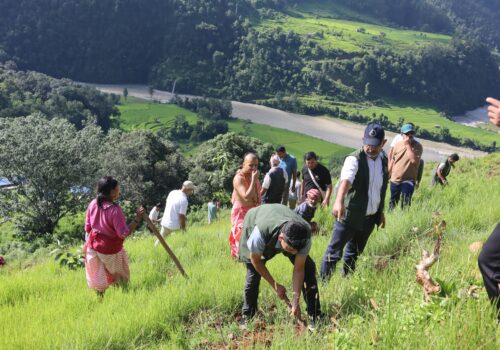 निजामती सेवा दिवसको अवसर पारेर बृक्षारोपण