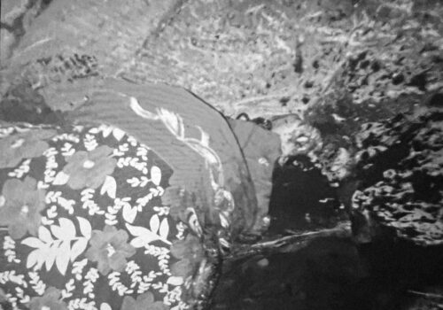 धादिङमा आफ्नै छोराद्धारा आमाको हत्या